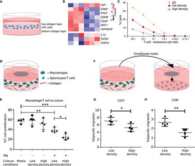 Immune Modulatory Properties of Collagen in Cancer